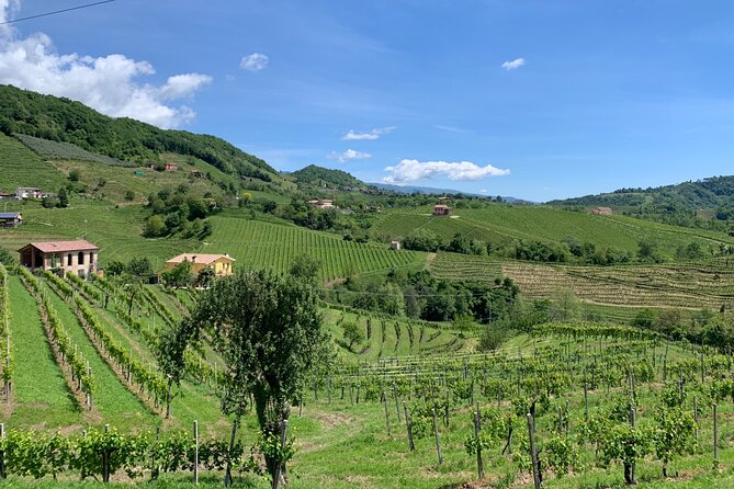 A Sparkling Day in the Prosecco Hills from Venice - Conegliano and the second four-wine tasting