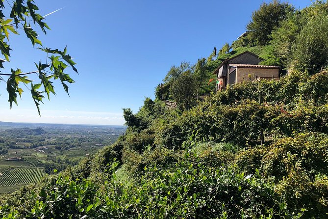 A Sparkling Day in the Prosecco Hills from Venice - Guides who make the day personal