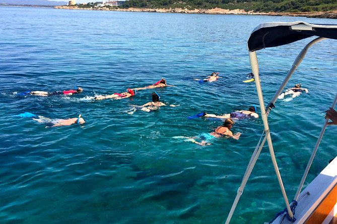 Alghero - Dolphin Watching and Guided Snorkeling (summer tour) - Who will enjoy this tour most?