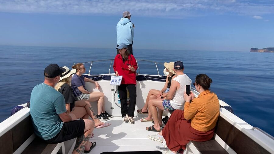 Alghero: Dolphin Watching Tour with Marine Researcher - Is $59 a good value?