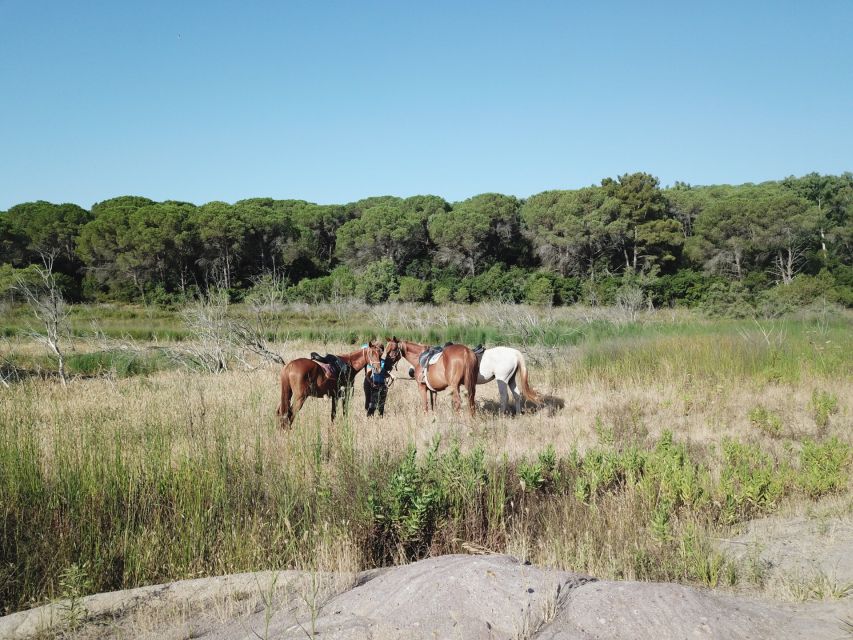 Alghero: Guided Horseback Ride at Lake Baratz & Porto Ferro - Key details that make this ride special