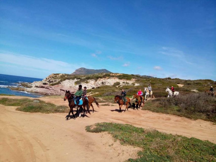 Alghero: Guided Horseback Ride at Lake Baratz & Porto Ferro - Practical tips for a smoother ride
