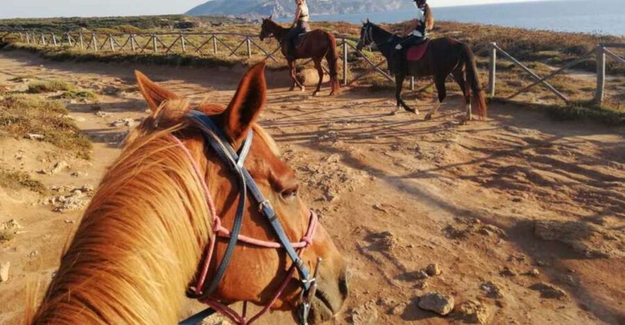 Alghero: Guided Horseback Ride at Lake Baratz & Porto Ferro - From the riding school to Lake Baratz
