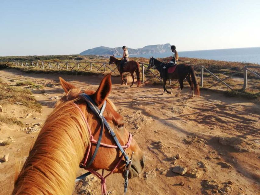 Alghero: Guided Horseback Ride at Lake Baratz & Porto Ferro - Through the forest toward Porto Ferro