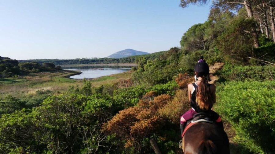 Alghero: Guided Horseback Ride at Lake Baratz & Porto Ferro - Why beginners seem especially well served