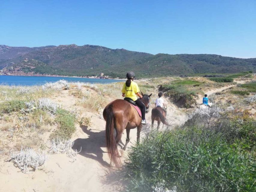 Alghero: Guided Horseback Ride at Lake Baratz & Porto Ferro - What the $98 price really covers