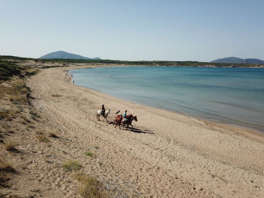 Alghero: Guided Horseback Ride at Lake Baratz & Porto Ferro - Horses, photos, and the human touch