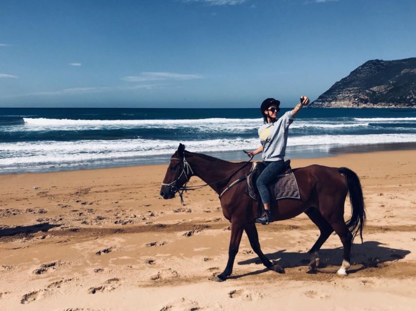 Alghero: Guided Horseback Ride at Lake Baratz & Porto Ferro - Who should book this ride