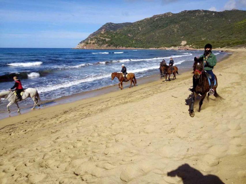 Alghero: Guided Horseback Ride at Lake Baratz & Porto Ferro - Pine trees and the quiet water of Lake Baratz