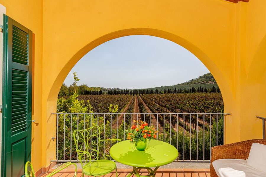 Alghero: Wine and Olive Oil Tasting at a Local Farm - The welcome and the tasting room