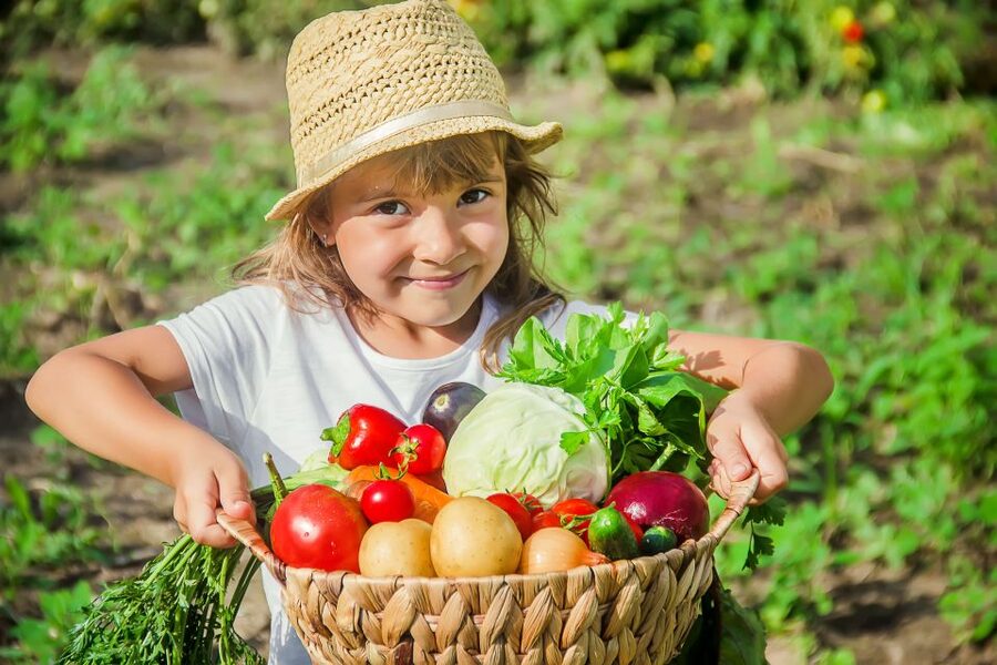 Amalfi: Cooking Class and Farmhouse Visit With Meal - Key things to know before booking
