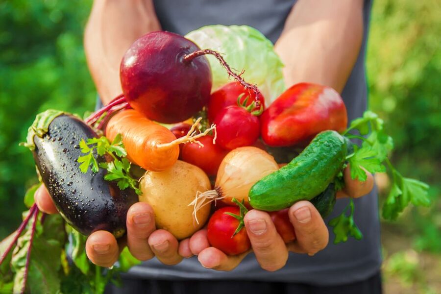 Amalfi: Cooking Class and Farmhouse Visit With Meal - Eating with a Mediterranean view