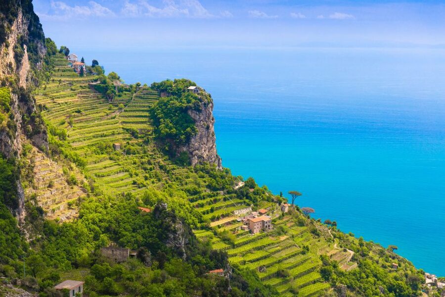 Amalfi: Cooking Class and Farmhouse Visit With Meal - Is $157.47 a fair price?