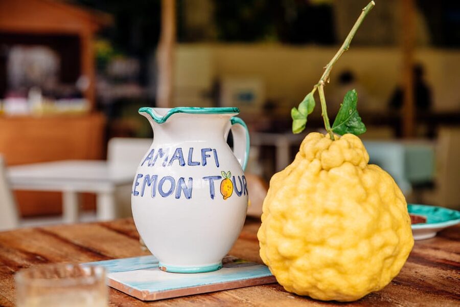 Amalfi: Vertical Lemon Farm Tour, Tastings, and Rural Museum - Meeting the Family Behind Six Generations