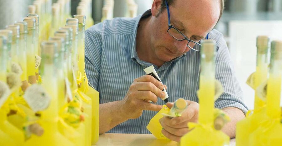 Amalfi: Vertical Lemon Farm Tour, Tastings, and Rural Museum - Walking Through Amalfi’s Vertical Lemon Grove