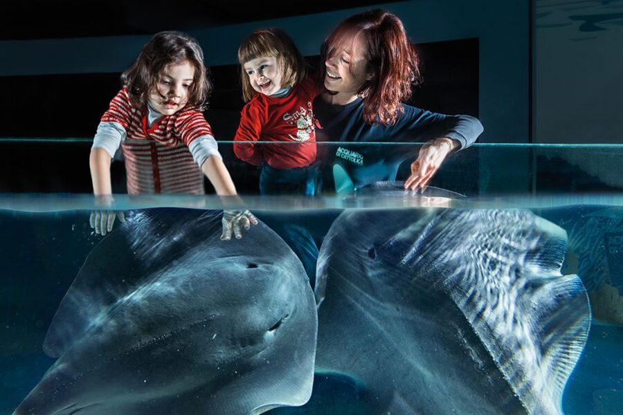 Aquarium of Cattolica Entry Ticket - The Details That Shape Your Visit