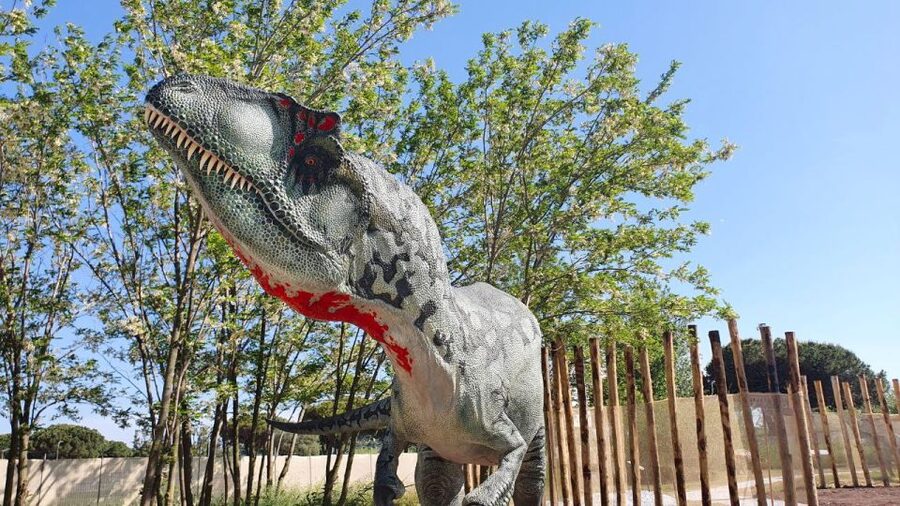 Aquarium of Cattolica Entry Ticket - Feeding Sessions and Extra Encounters
