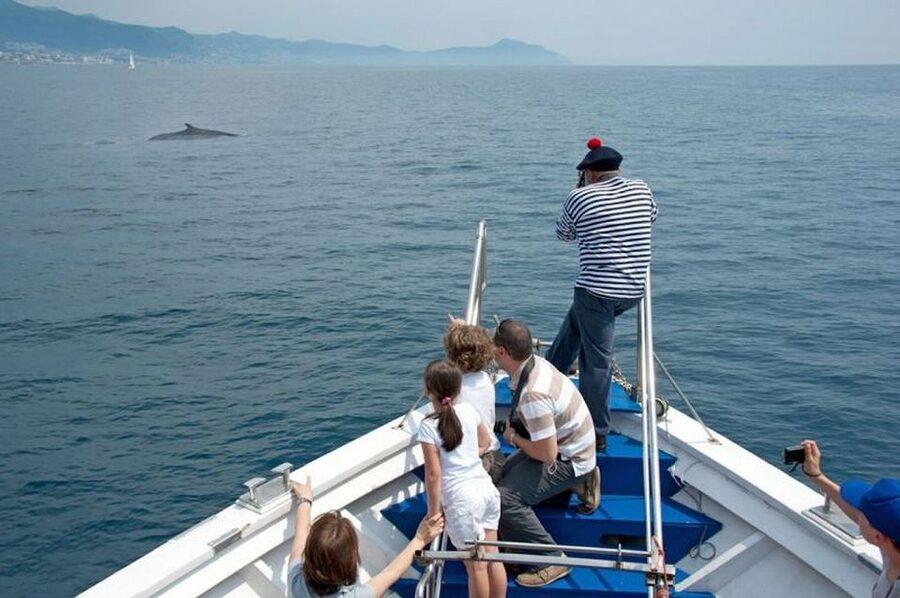 Aquarium of Genoa Ticket and Whale Watching Cruise - Key points to know before booking