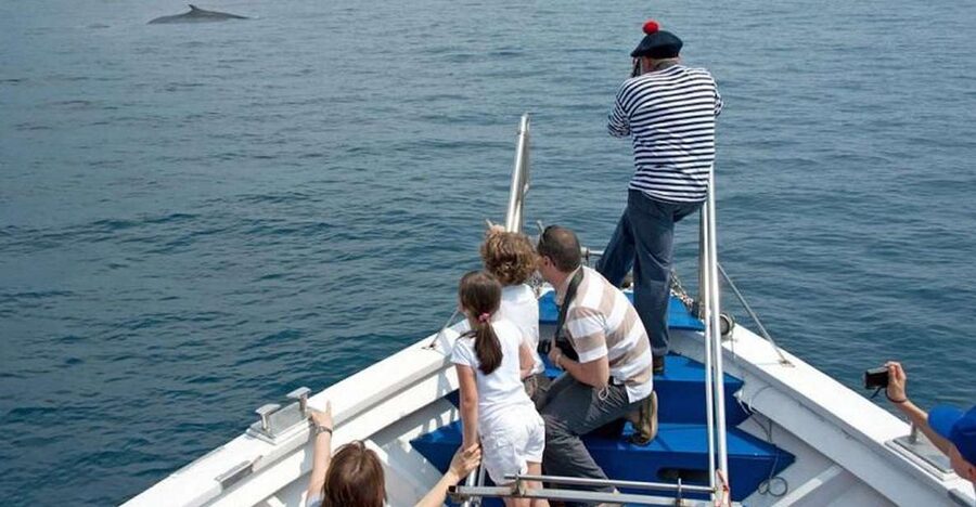 Aquarium of Genoa Ticket and Whale Watching Cruise - From the harbor to the Pelagos Sanctuary