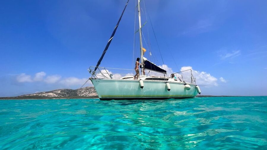 Asinara: Full Day Sailboat Excursion from Stintino - Swimming stops in Sardinia’s marine reserve