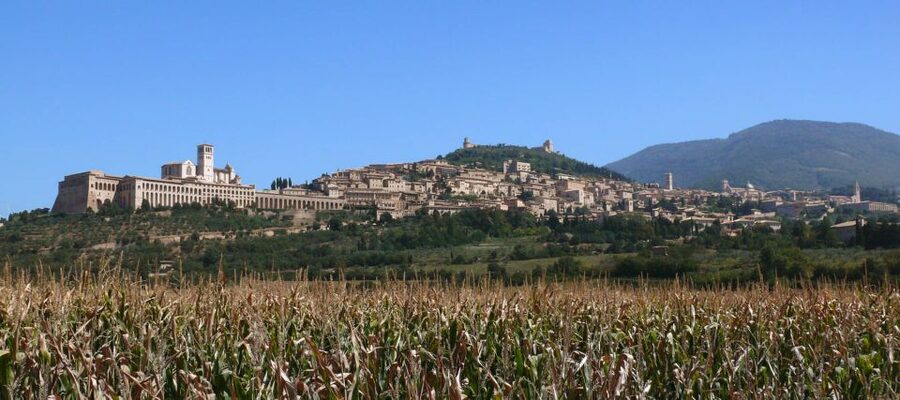 Assisi: Walking Tour with St. Francis Basilica Visit - Starting at the top of Assisi