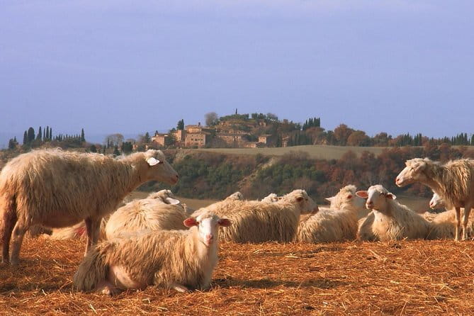 Authentic Pasta Class in Florence - Who should book this experience?