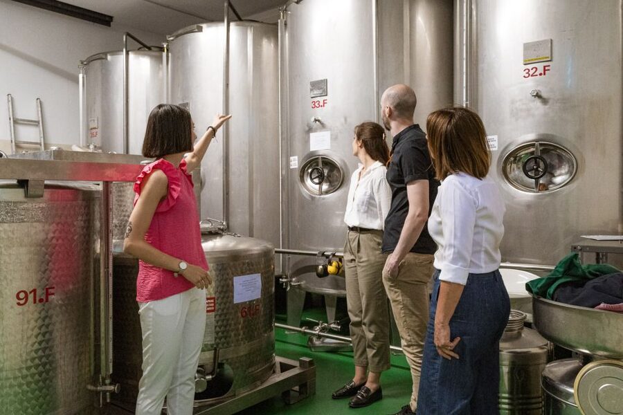 Bardolino: Lake Garda Oil Mill Tour with Olive Oil Tasting - Learning About the Riviera degli Olivi