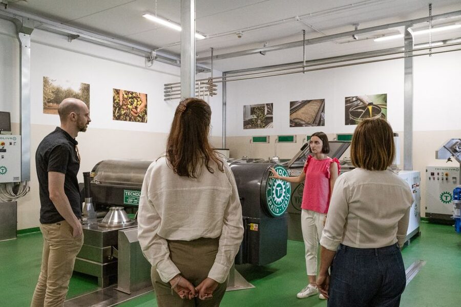 Bardolino: Lake Garda Oil Mill Tour with Olive Oil Tasting - How Long the Visit Really Takes