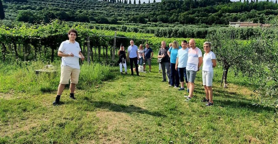 Bardolino: Vineyard Tour with Wine, Olive Oil & Food Tasting - Reaching the vineyard above Bardolino