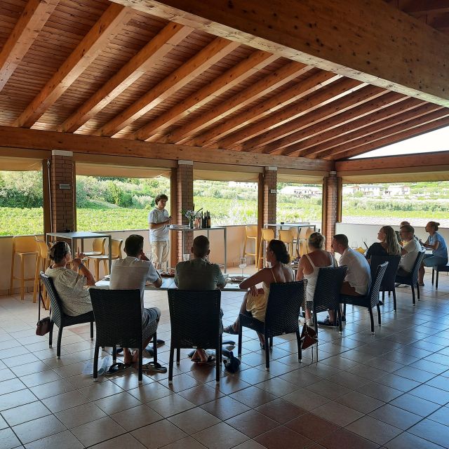 Bardolino: Vineyard Tour with Wine, Olive Oil & Food Tasting - The family story behind La Rocca’s wines