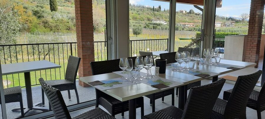 Bardolino: Vineyard Tour with Wine, Olive Oil & Food Tasting - What the tasting teaches you