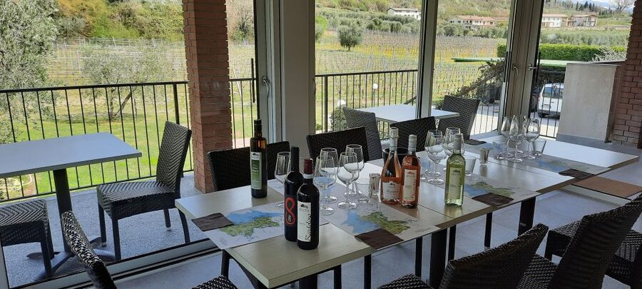 Bardolino: Vineyard Tour with Wine, Olive Oil & Food Tasting - Is two hours enough?