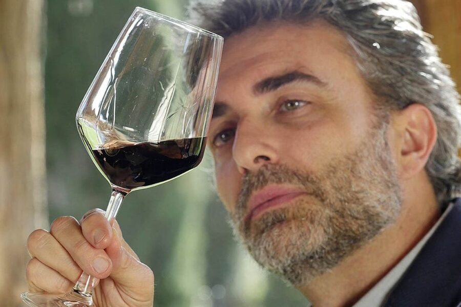 Bolgheri: Winery Tour with Wine Tasting - Practical tips for a smoother visit