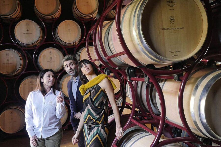 Bolgheri: Winery Tour with Wine Tasting - Starting among the vineyards