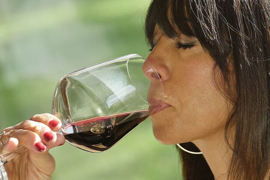 Bolgheri: Winery Tour with Wine Tasting - Bruschetta, olive oil, and the value of the tasting