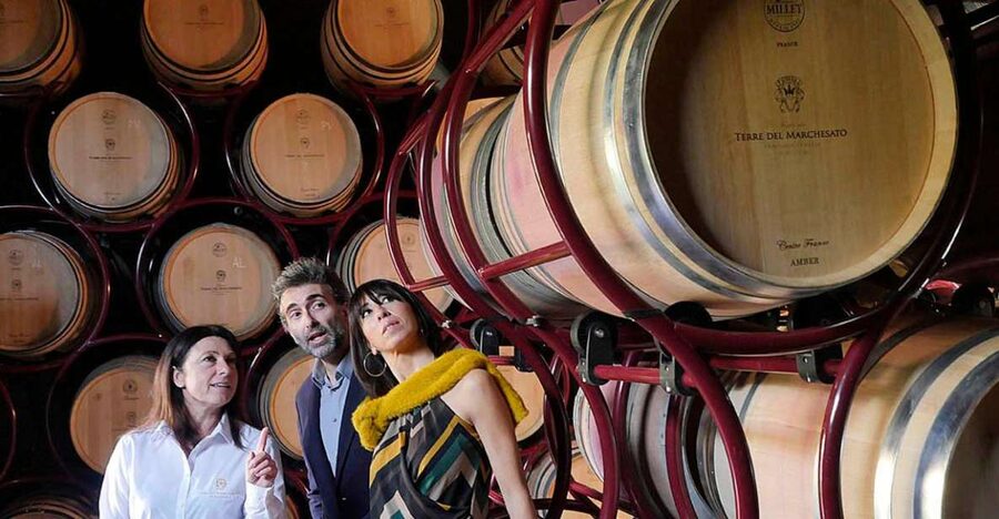 Bolgheri: Winery Tour with Wine Tasting - Meeting at Terre del Marchesato