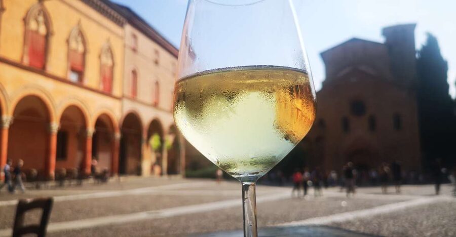 Bologna: City Center Guided Wine Walking Tour - Meeting Filippo by Piazza del Nettuno