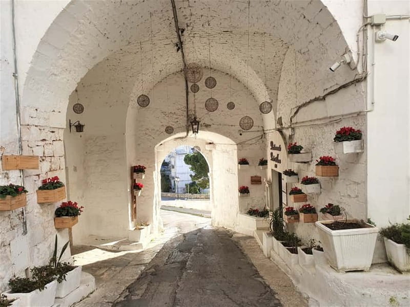 Brindisi: Alberobello, Locorotondo & Ostuni Tour with Brunch - Who should book, and who should skip it