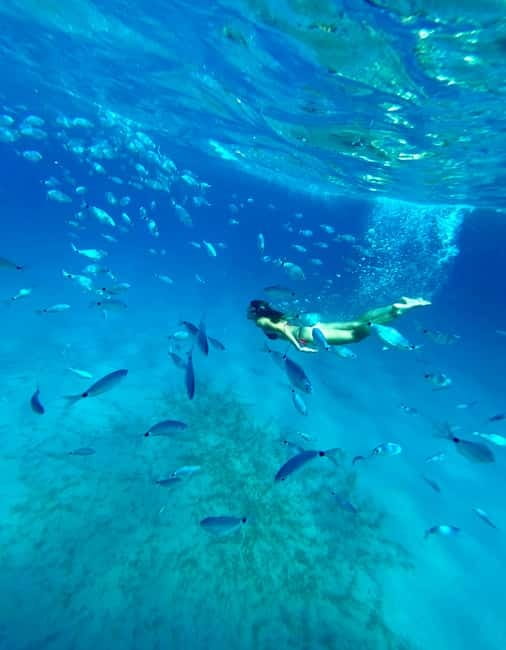 Cagliari: Boat Tour with Snorkeling, GoPro & Sardinian Beer - The Fourth Stop and Marine Life
