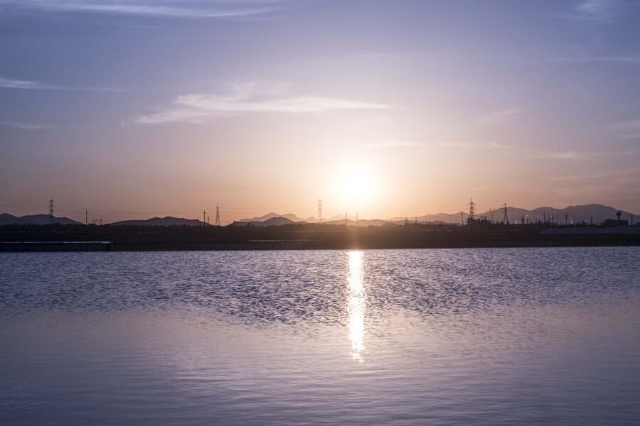 Cagliari: Conti Vecchi Salt Flats Train and Tour - Flamingos and the color of the salt pans