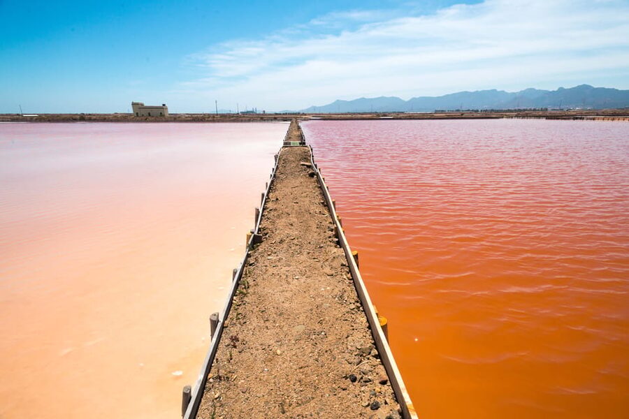 Cagliari: Conti Vecchi Salt Flats Train and Tour - Is $14 a good value?