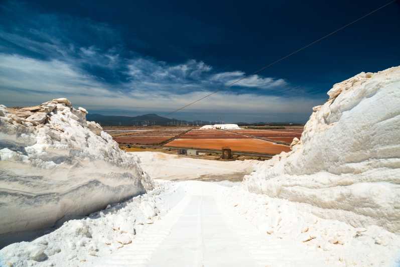Cagliari: Conti Vecchi Salt Flats Train and Tour - Starting with Luigi Conti Vecchi and the old saltworks