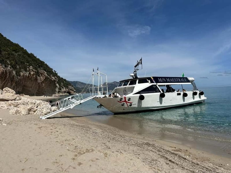 Cala Gonone: Gulf of Orosei Cruise with Beach Stops - Crowds, transfers, and the less polished moments