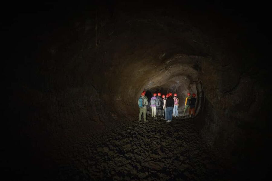 Catania: Amazing Etna Morning Tour with Pickup and Drop-Off - Grotta delle Nevi and the short underground section