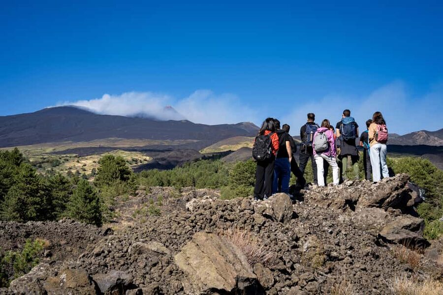 Catania: Amazing Etna Morning Tour with Pickup and Drop-Off - What the guides add to the mountain