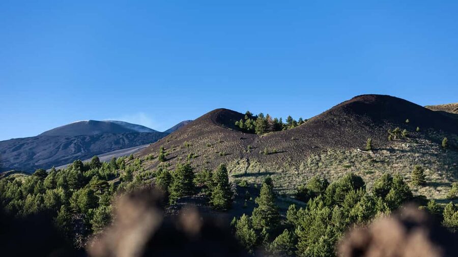 Catania: Etna Nature Tour with Hiking, Cave Visit, & Tasting - Who should book this tour