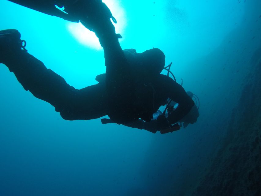 Catania: Gulf Scuba Diving Tour with Marine Biologist - How the staff handle safety