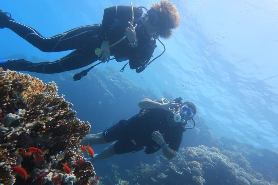 Catania: Gulf Scuba Diving Tour with Marine Biologist - A good choice for mixed-experience groups