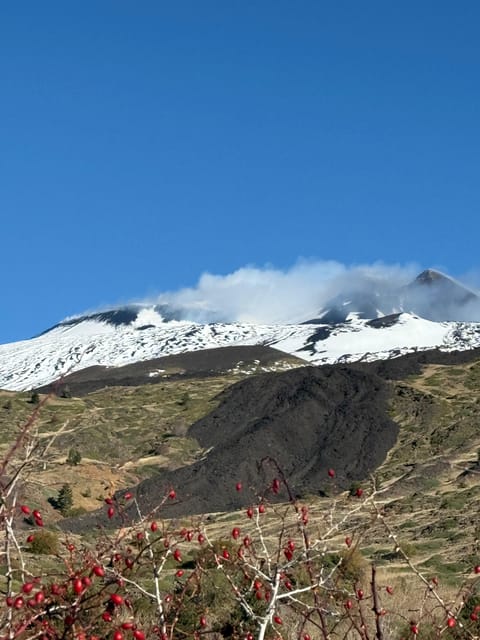 Catania: Morning Jeep Tour of Mount Etna and Lava Flow Caves - Is $67 a fair price?