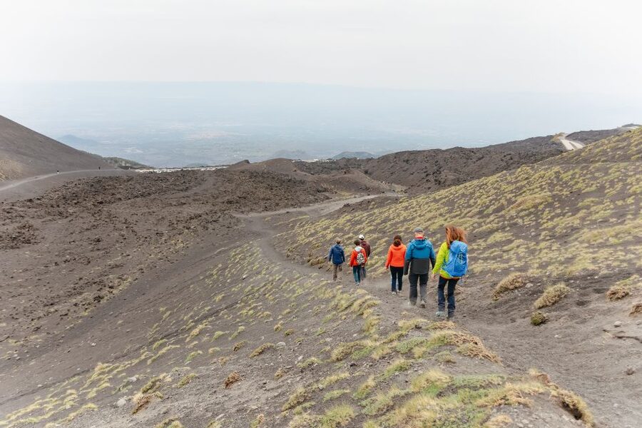 Catania: Mount Etna Morning or Sunset Day Trip with Tasting - Who should book this Etna trip?